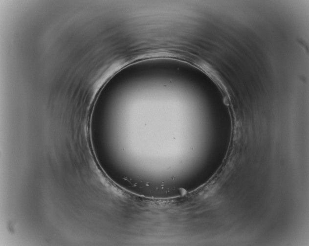 X0000103410813200809191544