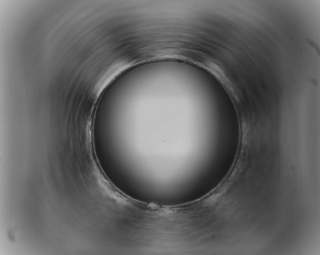 X0000103410814200809191544