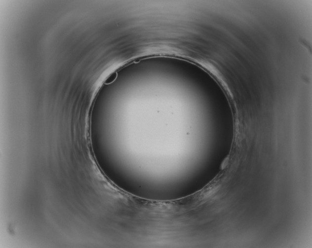 X0000103410815200809191544