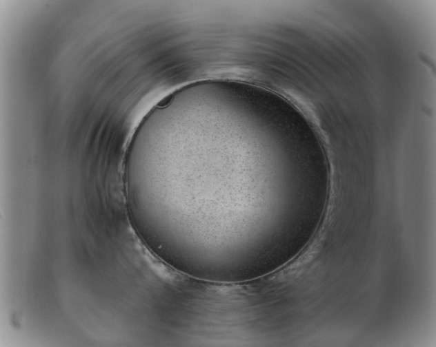 X0000103410816200809191544