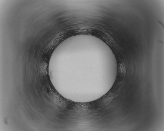 X0000103410820200809191543