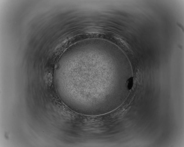 X0000103410821200809191543