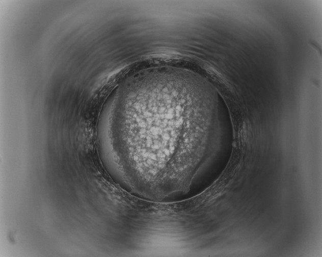 X0000103410822200809191543