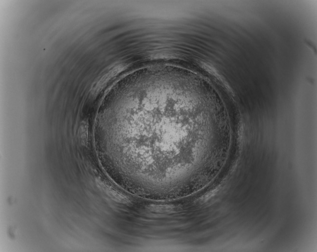 X0000103410825200809191543