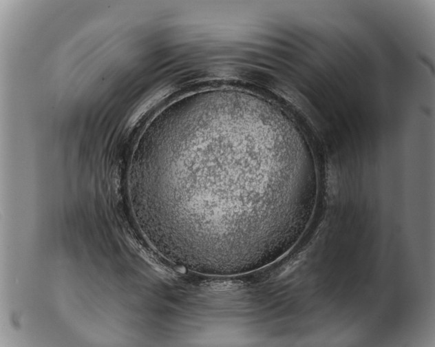 X0000103410826200809191543