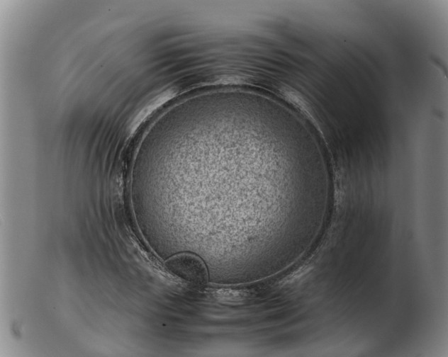 X0000103410827200809191543