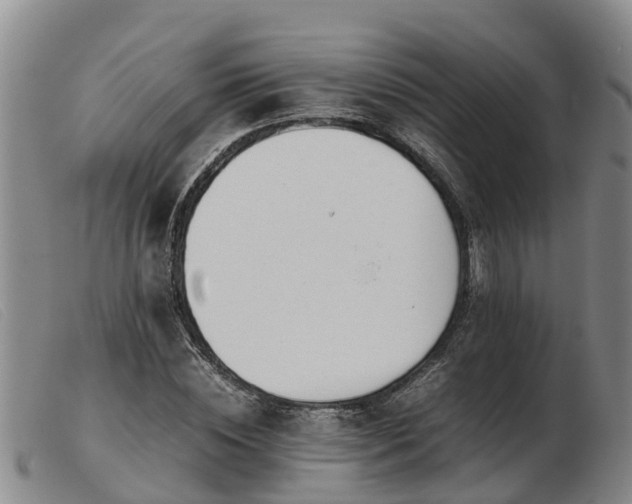 X0000103410828200809191543