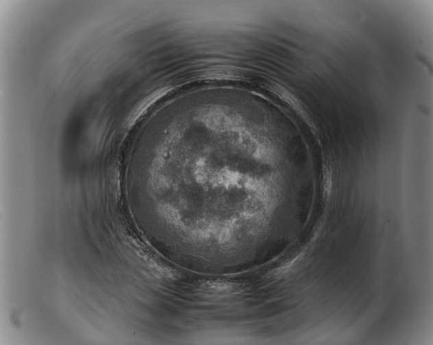 X0000103410829200809191543