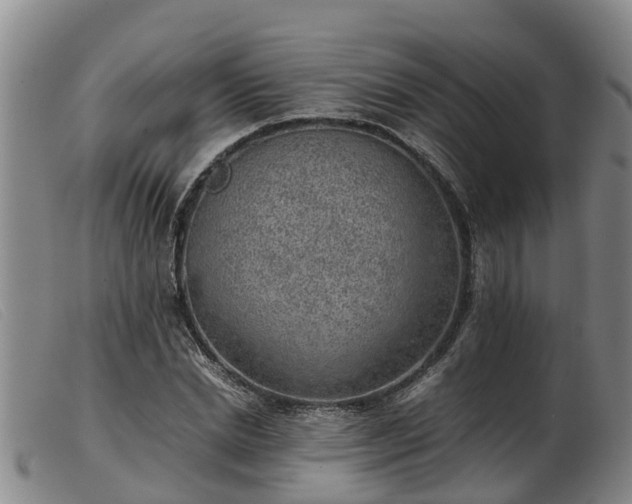 X0000103410830200809191543