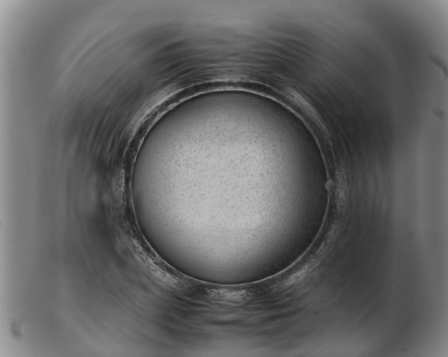 X0000103410831200809191543