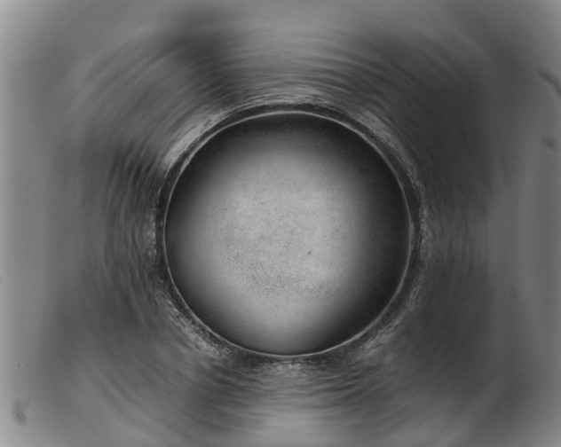 X0000103410834200809191544