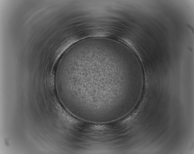 X0000103410835200809191544