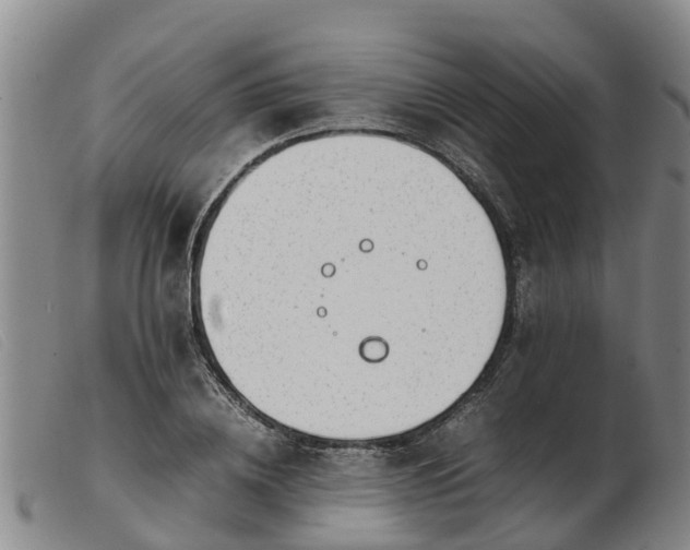 X0000103410836200809191544