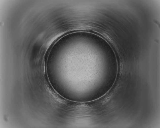 X0000103410838200809191544