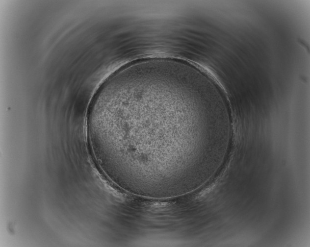 X0000103410839200809191544