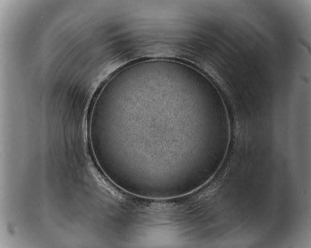 X0000103410840200809191544