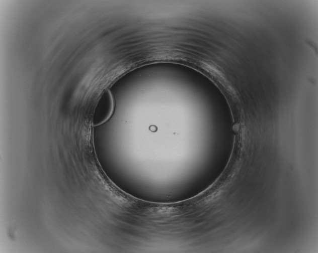 X0000103410841200809191544