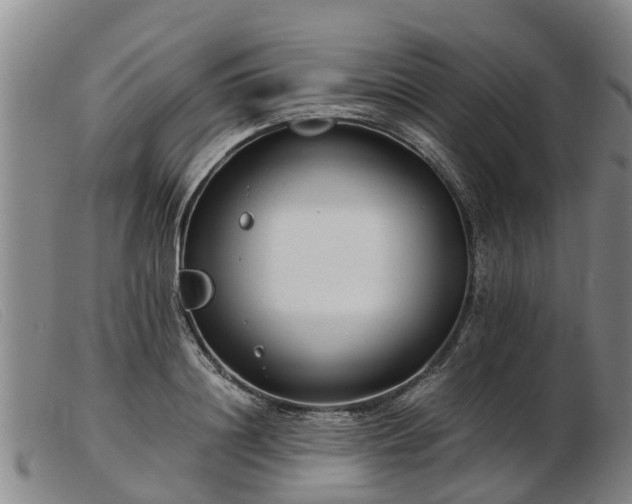 X0000103410844200809191544