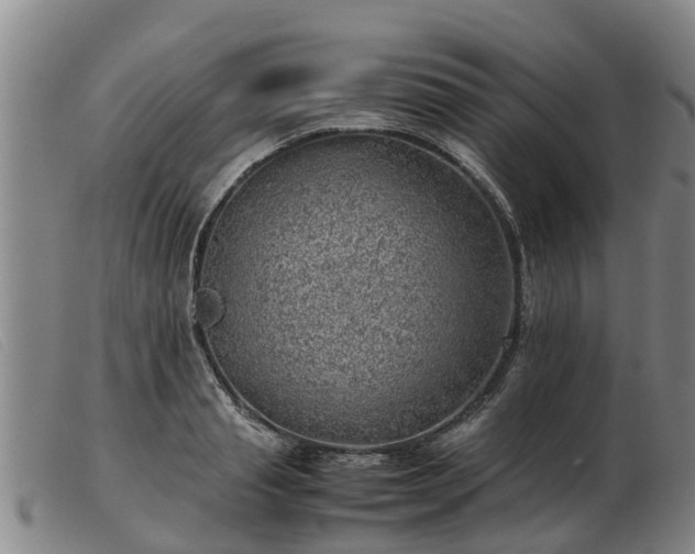 X0000103410845200809191544