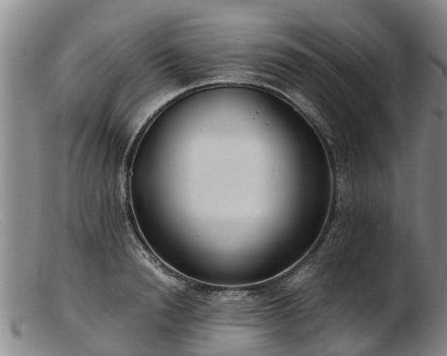 X0000103410846200809191544