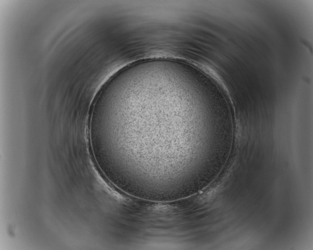 X0000103410847200809191544