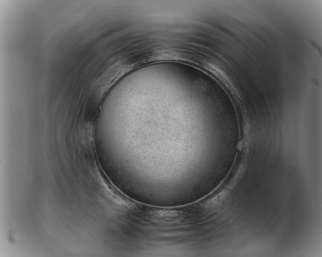 X0000103410849200809191544