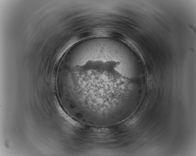 X0000103410851200809191544