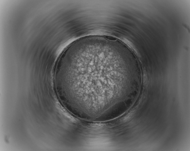 X0000103410854200809191544