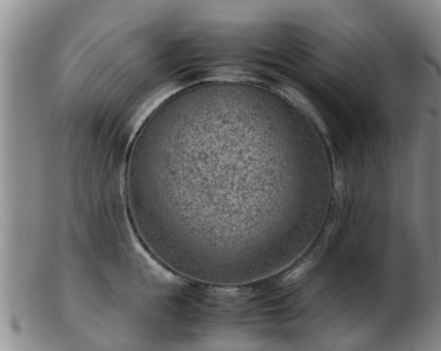 X0000103410855200809191544