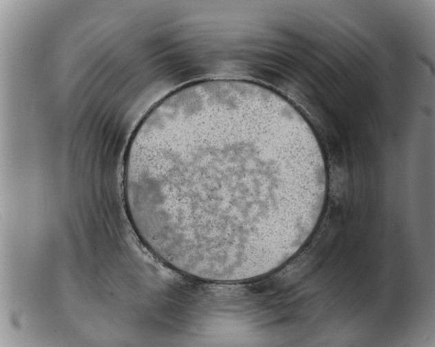 X0000103410856200809191544