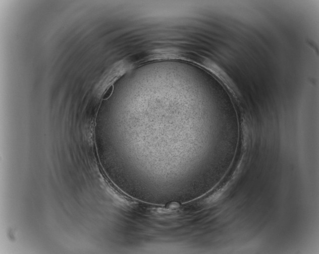 X0000103410857200809191544