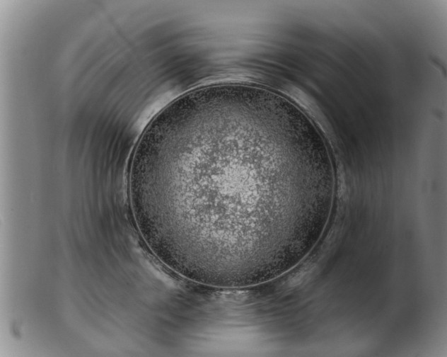 X0000103410858200809191544