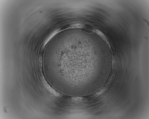 X0000103410859200809191544