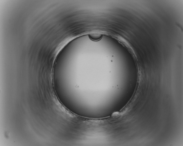 X0000103410860200809191544