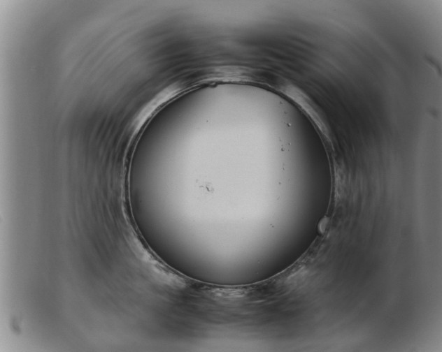 X0000103410861200809191544