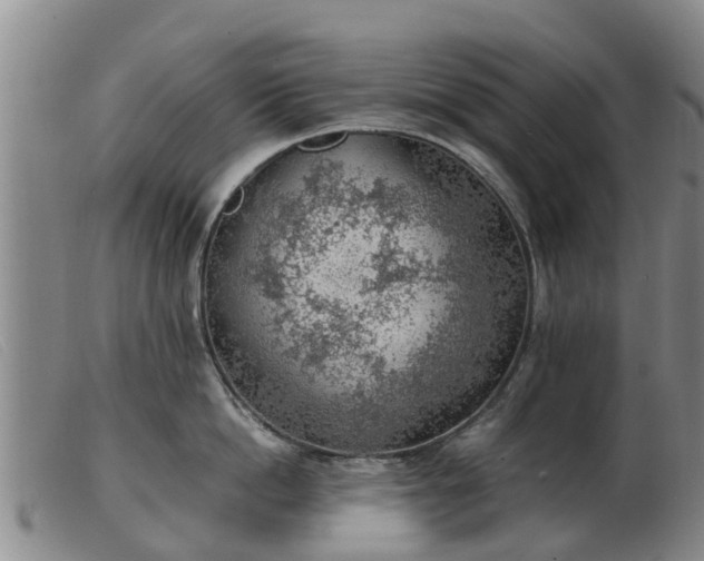 X0000103410862200809191544