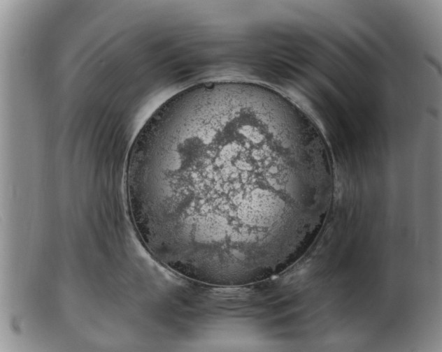 X0000103410863200809191544