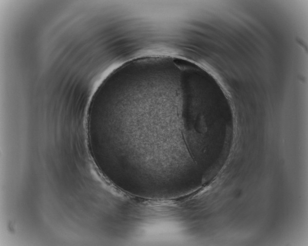 X0000103410864200809191544