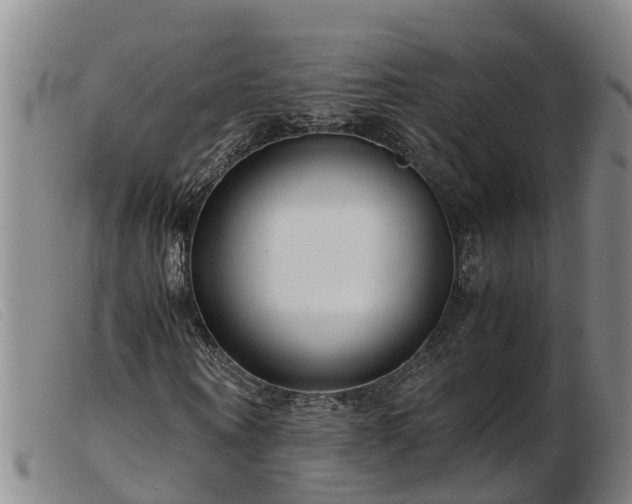 X0000103410866200809191543