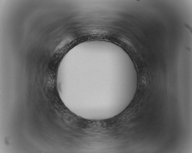 X0000103410869200809191543