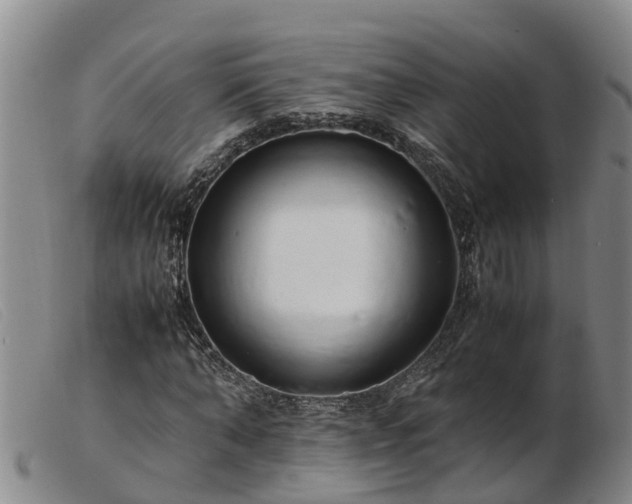 X0000103410870200809191543