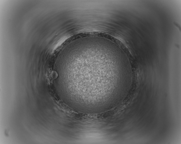 X0000103410871200809191543