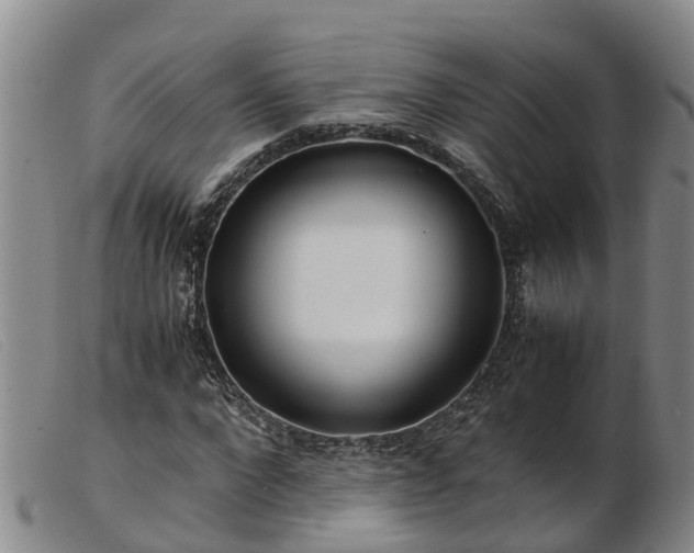 X0000103410872200809191543