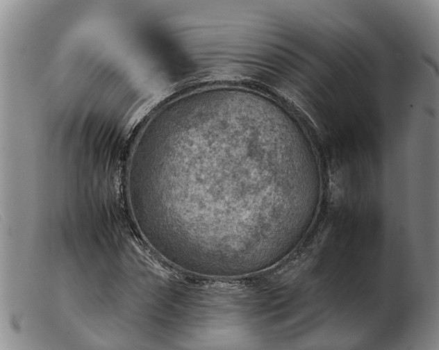 X0000103410874200809191543