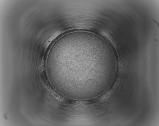 X0000103410875200809191543