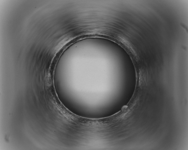 X0000103410876200809191543