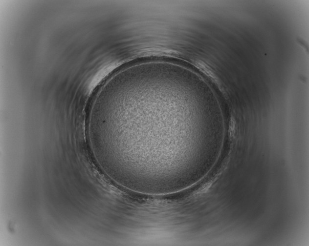 X0000103410877200809191543