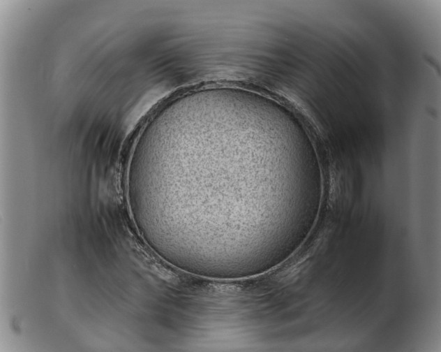 X0000103410878200809191543