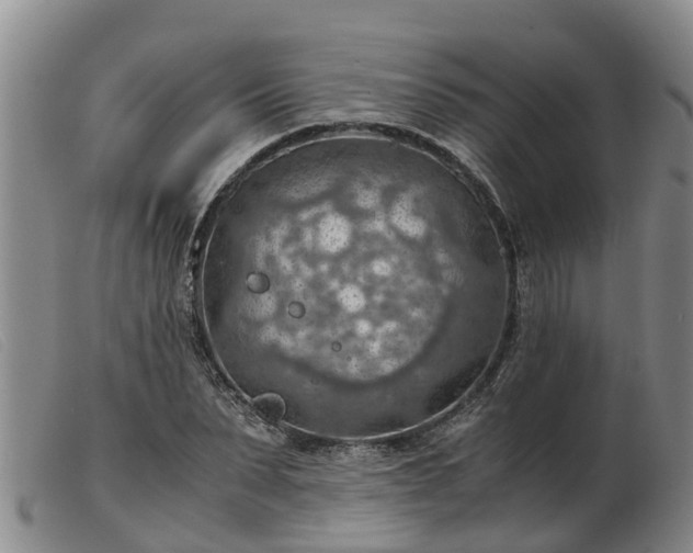 X0000103410879200809191543