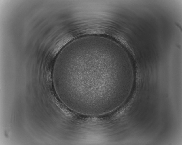 X0000103410881200809191543